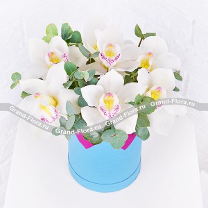 Нежность весны - коробка с белыми орхидеями